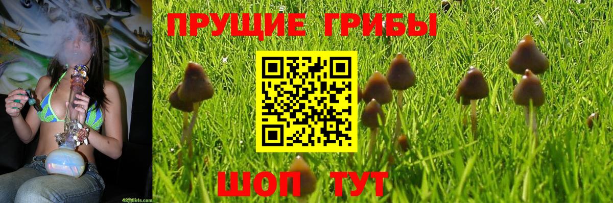 Псилоцибиновые грибы прущие грибы  Вход с VPN  купить закладку  Пермь 